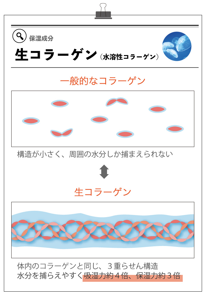 生コラーゲン