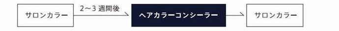 THROW白髪隠しの使用サイクル