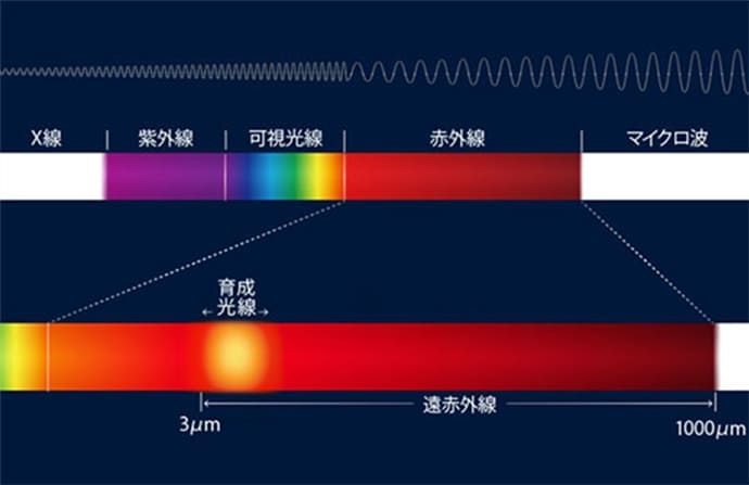 テスコム ドライヤー プリヴェニーク 遠赤外線 育成光線