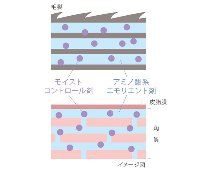 ノティオ 　フュースト 潤い成分