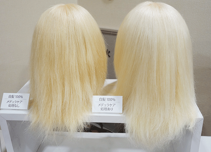 タカラベルモントが毛髪中心部の構造変化解明　「ヘアメデュラケア」着眼の新商品、来秋発売