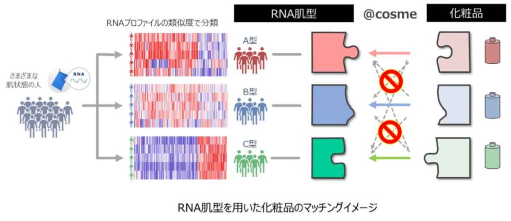 RNA肌型を用いた化粧品のマッチングイメージ