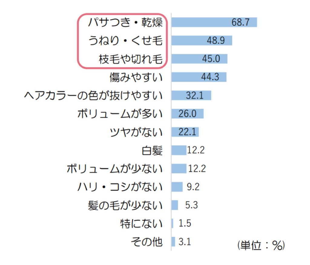 女性の髪の悩み調査2022髪の毛の悩み20代回答