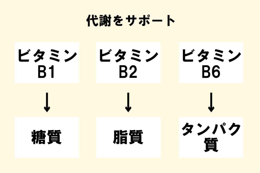 バズーカ岡田の最強ストレッチ＆エクササイズ「食事の方法/その他の栄養素編」代謝をサポート