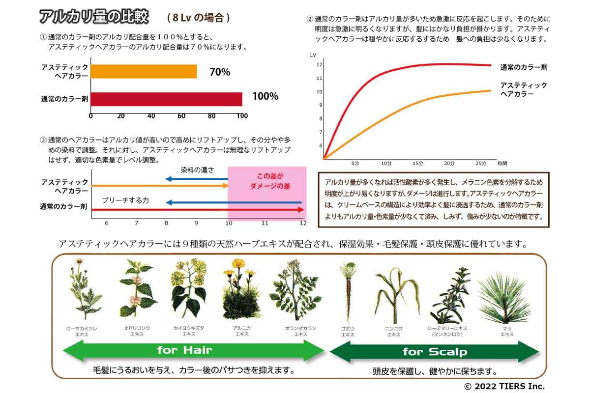 ティアーズ・野津尚行さんが語る 「アステティック ヘアカラー」の