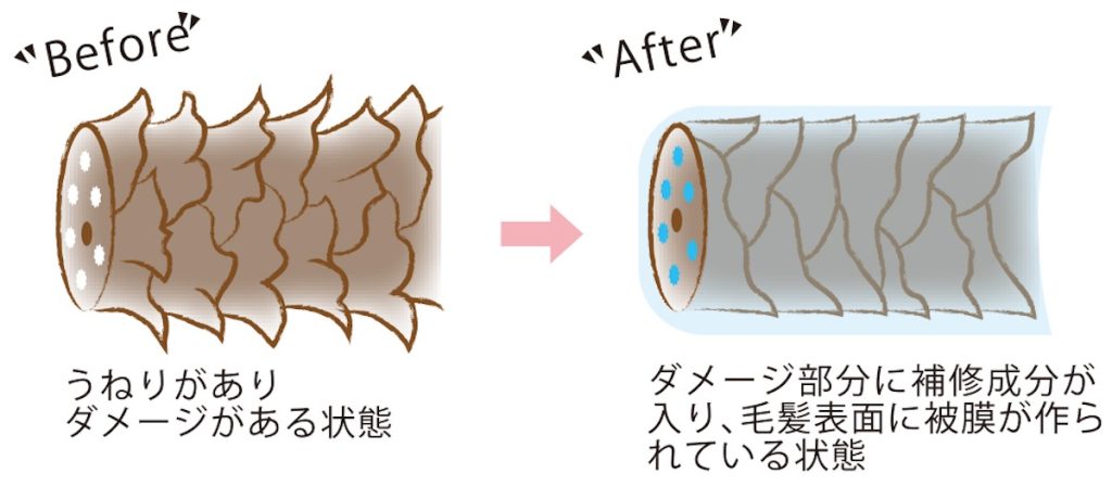 毛髪内部と外部に働きかけて水分量をコントロールし、髪が湿気や乾燥に左右されなくなる「モワリ モイストコントロールトリートメント」の原理