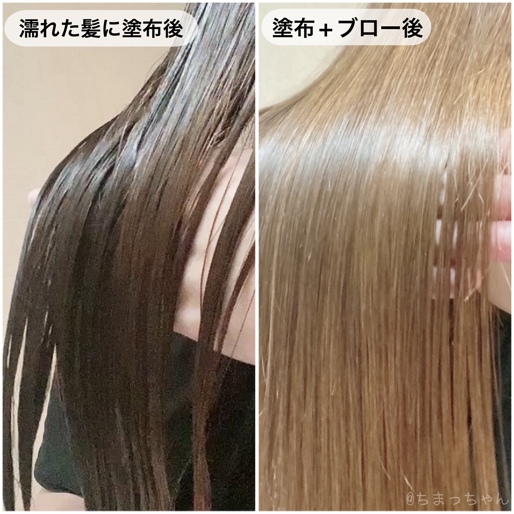 ちまっちゃんさんの投稿写真2