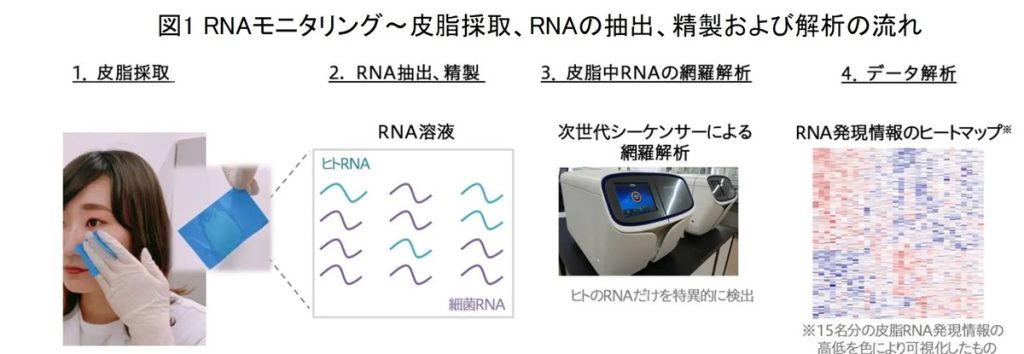 あぶらとりフィルムを使うことで、肌を傷つけることなくRNAを採取できる