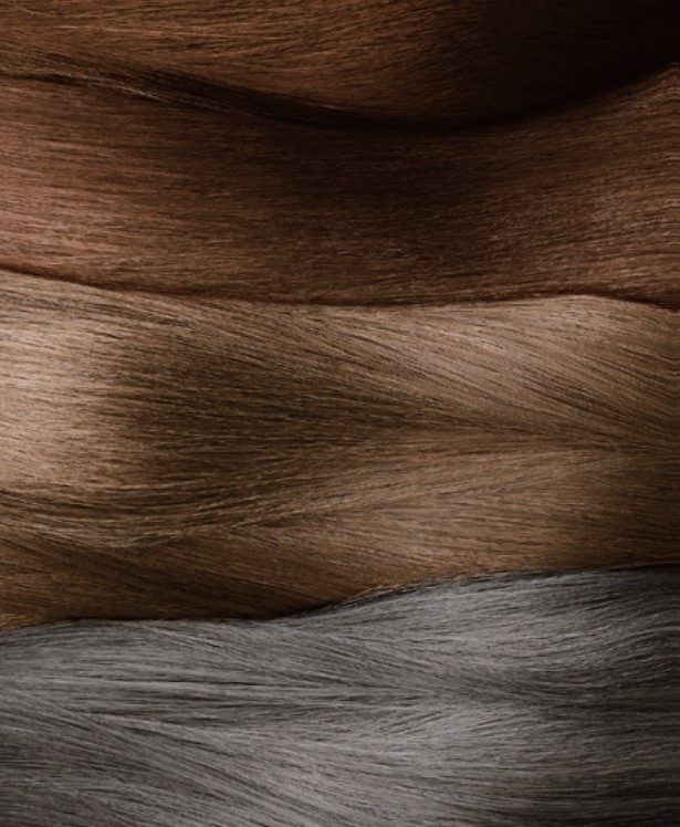 ヘンケルジャパンのテラからカラートリートメントが発売