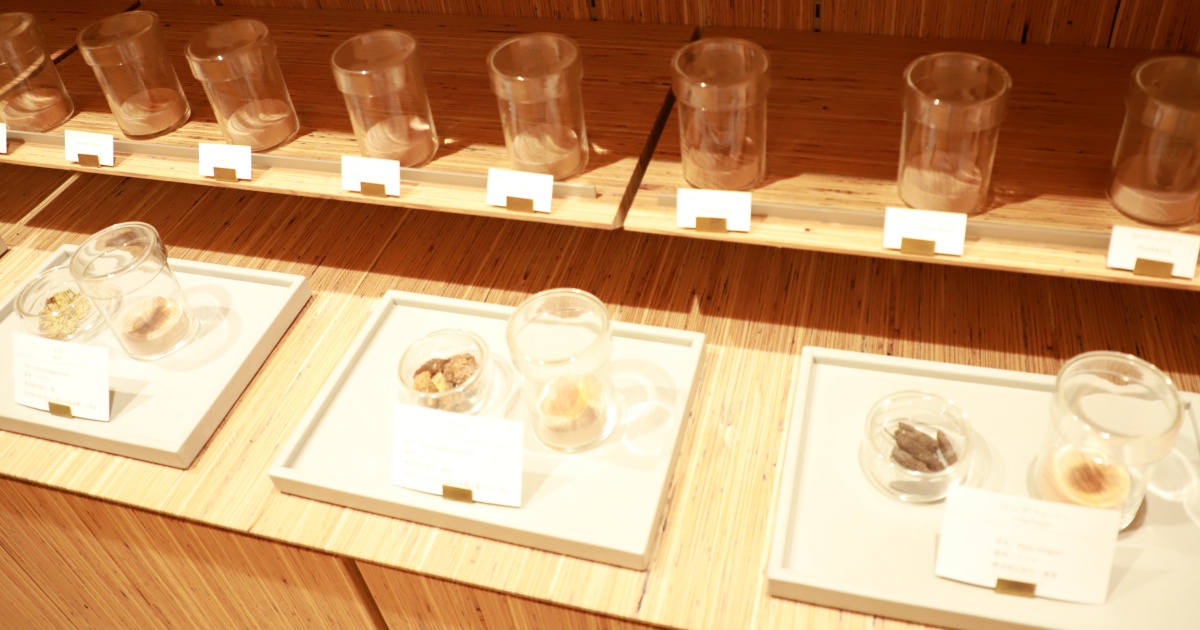 日本アロマ環境協会が発信 頭皮ケアや育毛に対するアプローチも