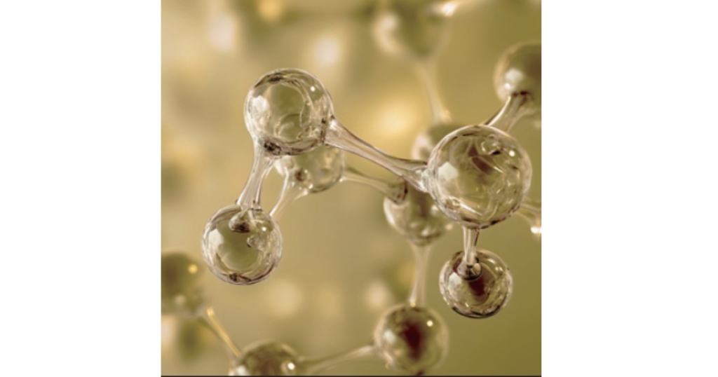 フィトキューティクル