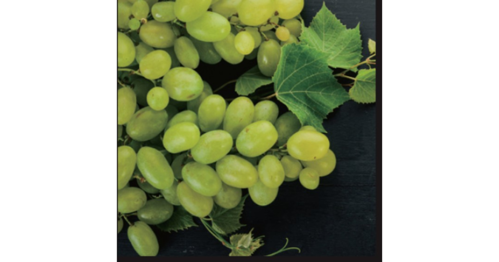 クロノシャルディ(ブドウ果実エキス)