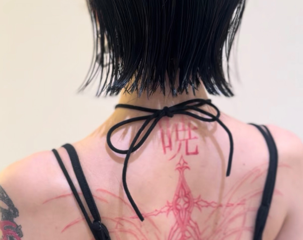 リサスティーのレミラバックスタイルヘアコンテスト2026のリアリティー部門